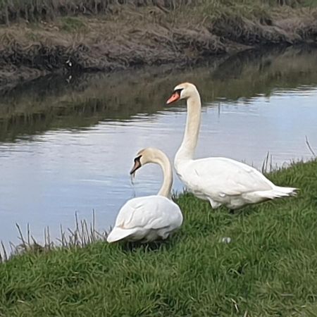 Upper Beeding Delightful Cottage On The River Adur Close To Brighton & The Downs No Dogs Sorry מראה חיצוני תמונה