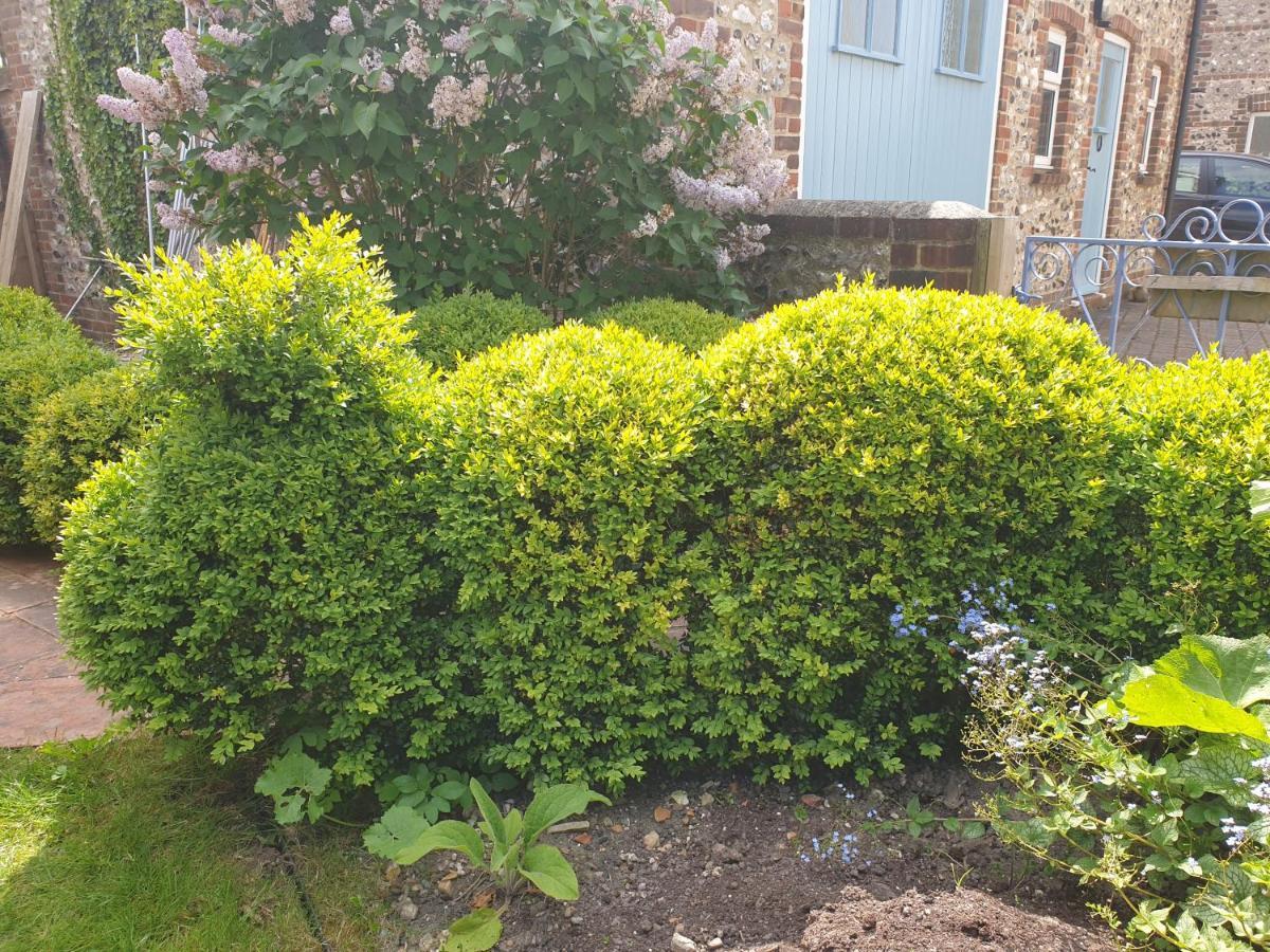 Upper Beeding Delightful Cottage On The River Adur Close To Brighton & The Downs No Dogs Sorry מראה חיצוני תמונה